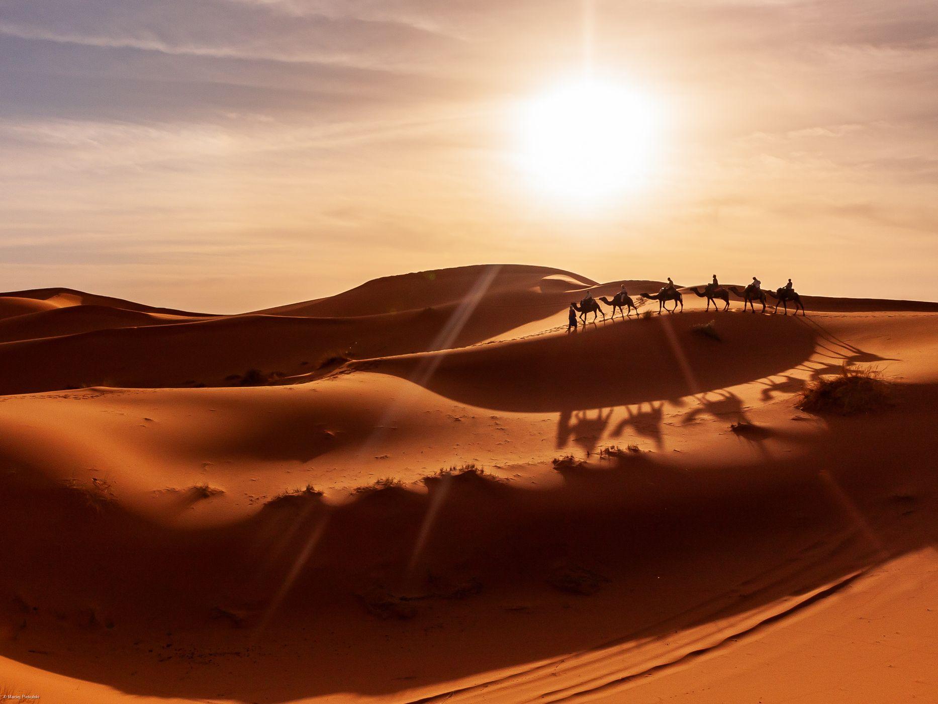 Sahara Desert — 2