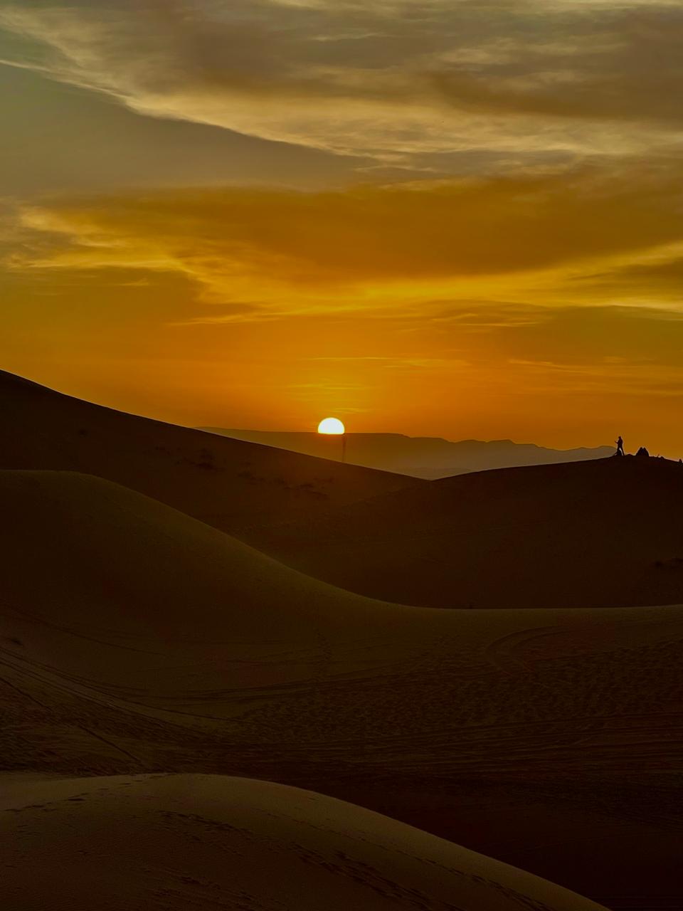 A camel ride at golden hour