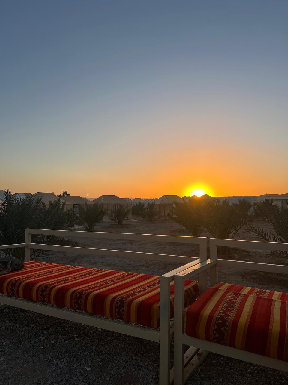 A guided visit to the kasbah walls