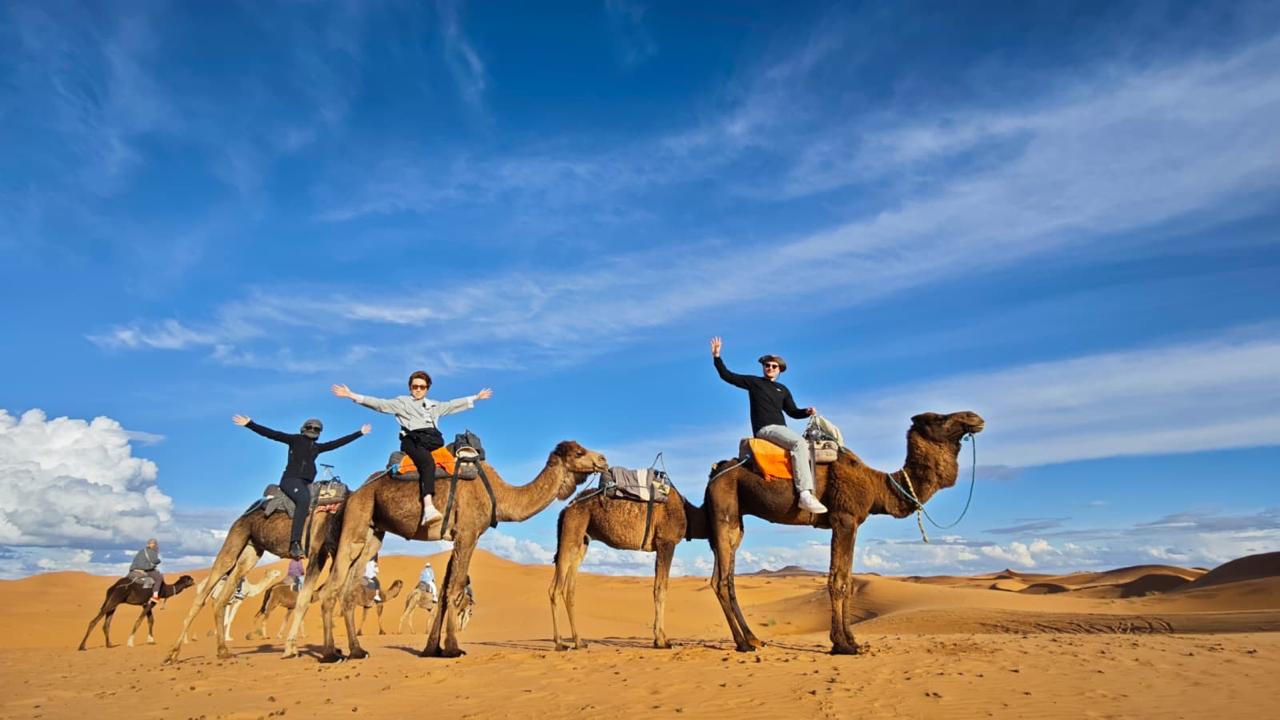Camel rides across the dunes