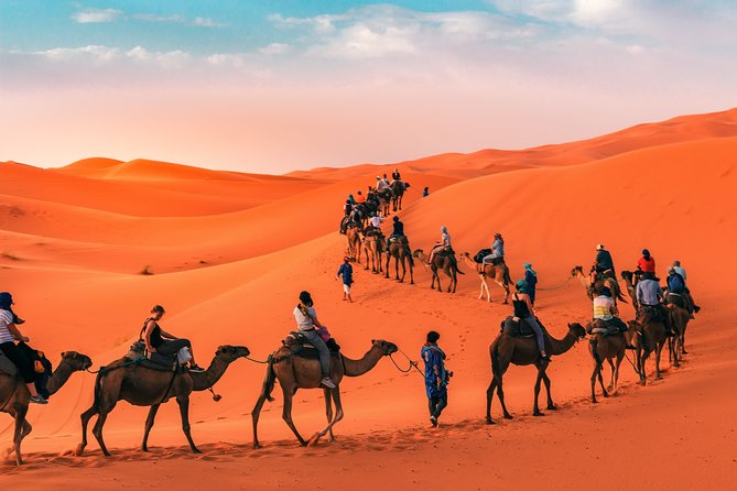 Marrakech to the Sahara